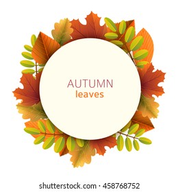 Autumn leaves round banner