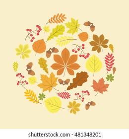 Autumn leaves, rowan berries and acorns on a beige background. Vector illustration.