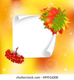 Autumn leaves and rowen around big white paper for copy space. Cartoon vector illustration for seasonal sale or congratulations banner.