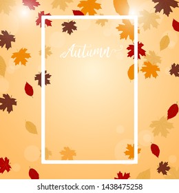 Autumn leaves sale festival  vector design background. Fall color nature background.