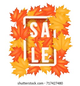 Autumn leaves with Sale Label. Fall sale design. Can be used for flyers, banners or posters. Vector illustration isolated on white background.