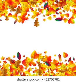 Autumn leaves scattered background with oak, maple and rowan