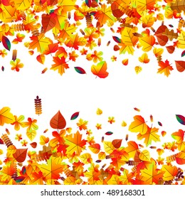 Autumn leaves scattered background with oak, maple and rowan