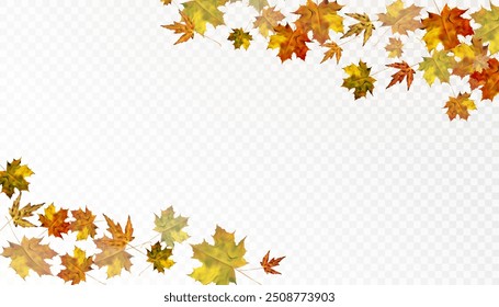 Autumn leaves are scattered randomly on a transparent background. Bright beautiful foliage. Autumn ornament. Vector for web design and illustrations.