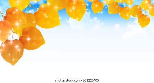 Autumn leaves scenery leaf background
