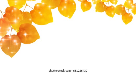 Autumn leaves scenery leaf background