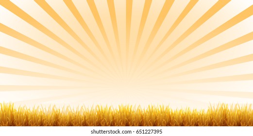 Autumn leaves scenery leaf background