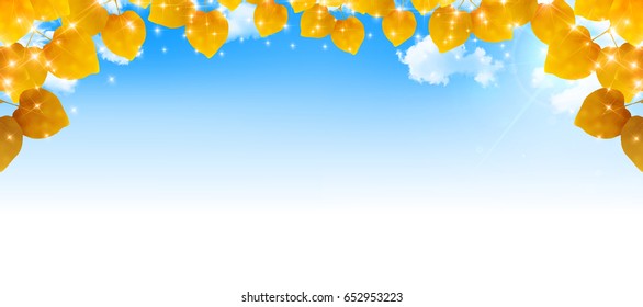 Autumn leaves scenery leaf background