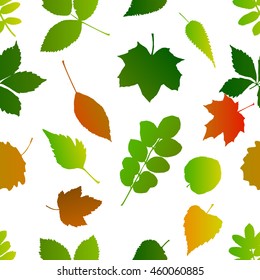Autumn leaves seamless background. Vector
