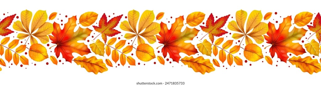 Autumn leaves seamless border. Realistic yellow orange and red textured foliage. Decorative element for banner flyer and poster isolated on white background. Beautiful botanical vector concept