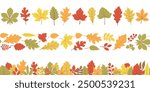 Autumn leaves a seamless border vector set. Different horizontal endless borders with forest leaves in bright colors. Seasonal fall design for greeting cards, banners, washi tape, and Thanksgiving day