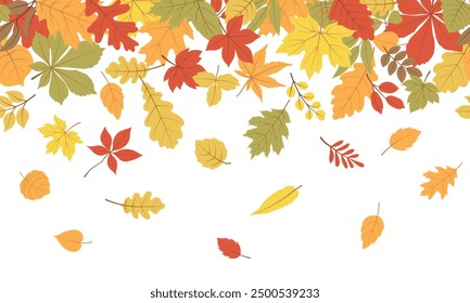 Autumn leaves a seamless border. Vector horizontal endless borders with forest flying leaves in bright colors. Seasonal fall design for greeting cards, banners, washi tape, web, and Thanksgiving day.