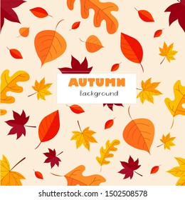 Autumn leaves seamless pattern background .