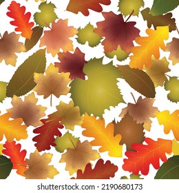 Autumn leaves seamless pattern background, vector illustration