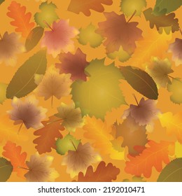 Autumn leaves seamless pattern background, vector illustration