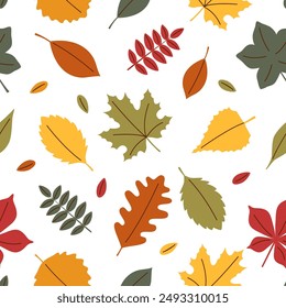 Autumn leaves seamless pattern. Autumn leaves background.