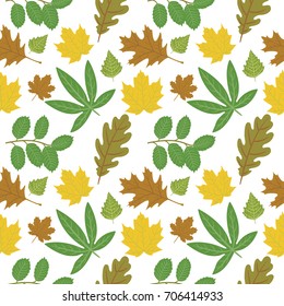 Autumn leaves seamless pattern. Beautiful autumn background with various leaves. Elegant vector illustration on white background.