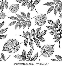 Autumn leaves seamless pattern of black and white in the style of coloring books for adults