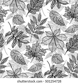 Autumn leaves seamless pattern, colorful fallen mountain ash leaves