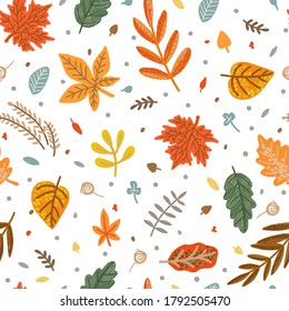 Autumn leaves seamless pattern. Fall. Vector illustration with hand drawn leaf. Isolated over white background.