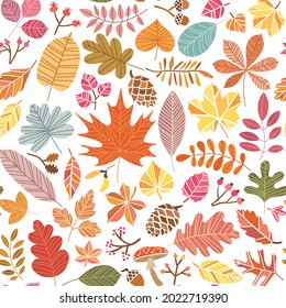 Autumn leaves seamless pattern. Fall foliage background