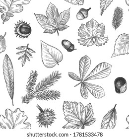 Autumn leaves seamless pattern. Hand drawn fallen leaf, acorns, cones print for textile. Wallpapers, gift wrap or scrapbook vector texture. Engraved foliage, leaves and spruce needles