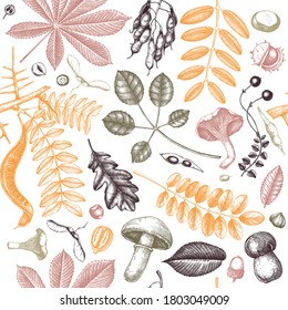 Autumn leaves seamless pattern. With hand sketched forest plants, pumpkins,nuts, berries, mushrooms illustrations. Perfect for invitation,  textile, wrapping, packaging. Elegant autumn backdrop