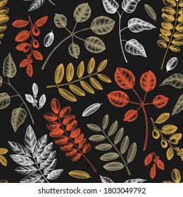 Autumn leaves seamless pattern. With hand sketched forest plants and foliage illustrations. Perfect for invitation, textile, wrapping, packaging. Elegant autumn backdrop