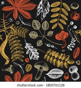 Autumn leaves seamless pattern. Hand sketched forest plants, pumpkins,nuts, berries, mushrooms illustrations. Perfect for invitation,  textile, wrapping, packaging. Elegant autumn backdrop in color