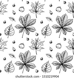 Autumn leaves seamless pattern isolated on white background. Hand drawn sketch vector illustration. Vintage line art