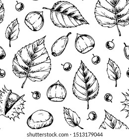 Autumn leaves seamless pattern isolated on white background. Hand drawn sketch vector illustration. Vintage line art