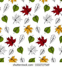 Autumn leaves seamless pattern isolated on white background. Hand drawn sketch vector illustration. Vintage line art