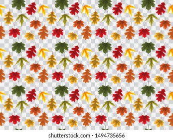 Autumn Leaves Seamless Pattern on Transparent Background Vector Illustration EPS10