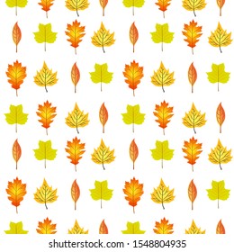 Autumn Leaves Seamless pattern on a white background. Vector illustration.
