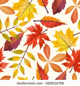 El otoño deja un patrón sin fisuras en el fondo blanco.