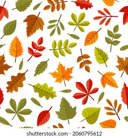 Autumn Leaves Seamless Pattern on White Background. Vector