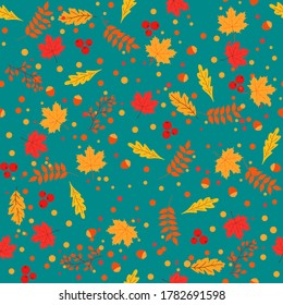 Autumn leaves seamless pattern with rowan, maple, birch and oak. Autumn leaf design. Foliage of forest leaves vector. Red, Green, Brown and Yellow Falling Fall Leave