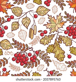 Autumn leaves seamless pattern Vector illustration of autumn leaves seamless pattern. Fall Autumn leaves Hello autumn, mountain ash, maple, oak, birch fall leaves 