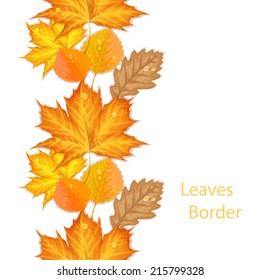 Autumn leaves seamless pattern. Vector border with maple, oak and aspen leaves