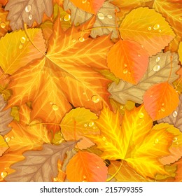 Autumn leaves seamless pattern. Vector background with maple, oak and aspen leaves