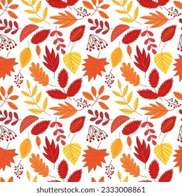 Autumn leaves seamless pattern. Vector autumn foliage seamless pattern.