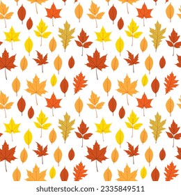 Autumn background with dried leaves Royalty Free Vector