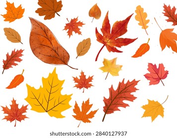 Autumn leaves seamless pattern. Vector. Fall leaf falling 