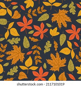 Autumn leaves a seamless pattern wallpaper image. Vector illustration. Yellow garden leaf, red fall leaf. Botanical forest plants tree foliage. 