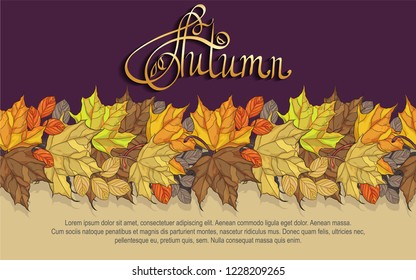Autumn leaves seamless stripes-curbs-thanksgiving day. Hand lettering on purple background-Autumn. Decorative postcard with autumn maple leaves. Suitable for printing, textiles, tableware.