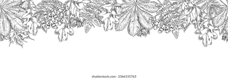 Autumn leaves, seamless vector border, isolated on white background. Hand drawn foliage, berries and other botanical sketch elements, banner in an engraving style. Vintage template for design.