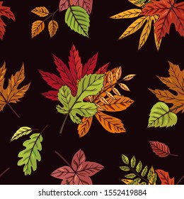 
Autumn leaves seamless vector pattern. Falling colorful leaves. Autumnal background. Perfect for seasonal and Thanksgiving Day, greeting cards, textile, wrapping.  Leaves on a dark background.
