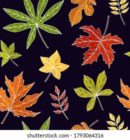 Autumn leaves seamless vector pattern. Falling colorful leaves. Autumnal background. Perfect for seasonal and Thanksgiving Day, greeting cards, textile, wrapping. Leaves on a white background. 