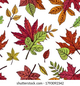 Der Herbst hinterlässt ein nahtloses Vektormuster. Fallende bunte Blätter. Eigener Hintergrund. Perfekt für den Saison- und Thanksgiving-Tag, Grußkarten, Textilien, Umhüllung.  Blätter auf dunklem Hintergrund.