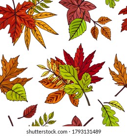 Autumn leaves seamless vector pattern. Falling colorful leaves. Autumnal background. Perfect for seasonal and Thanksgiving Day, greeting cards, textile, wrapping.